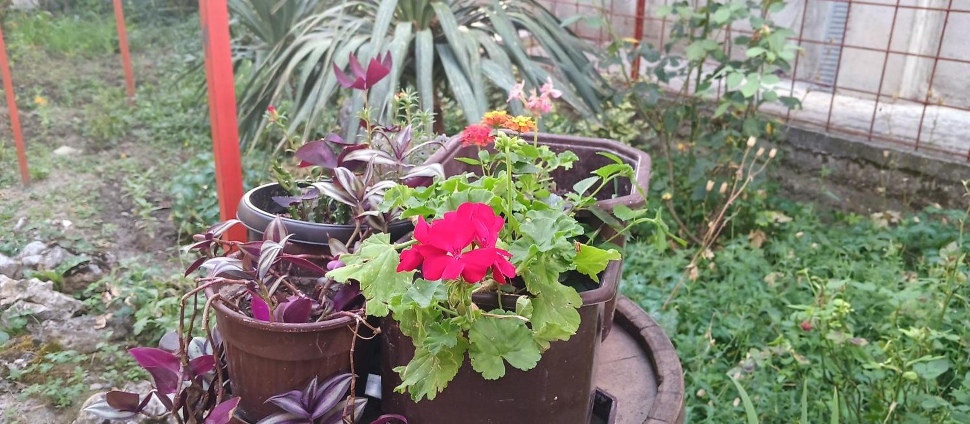 אוהריד Julija Guest House מראה חיצוני תמונה